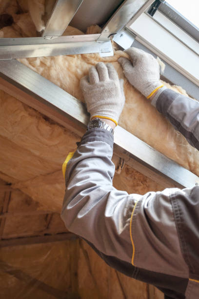 Best Residential Insulation in Pagosa Springs, CO