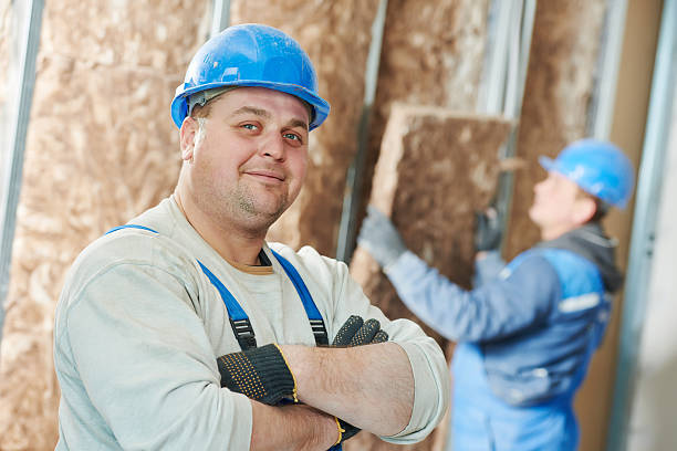 Best Insulation Maintenance and Repair in Pagosa Springs, CO